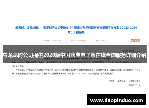 尊龙凯时公司提供2020版中国药典电子版在线查询服务详细介绍